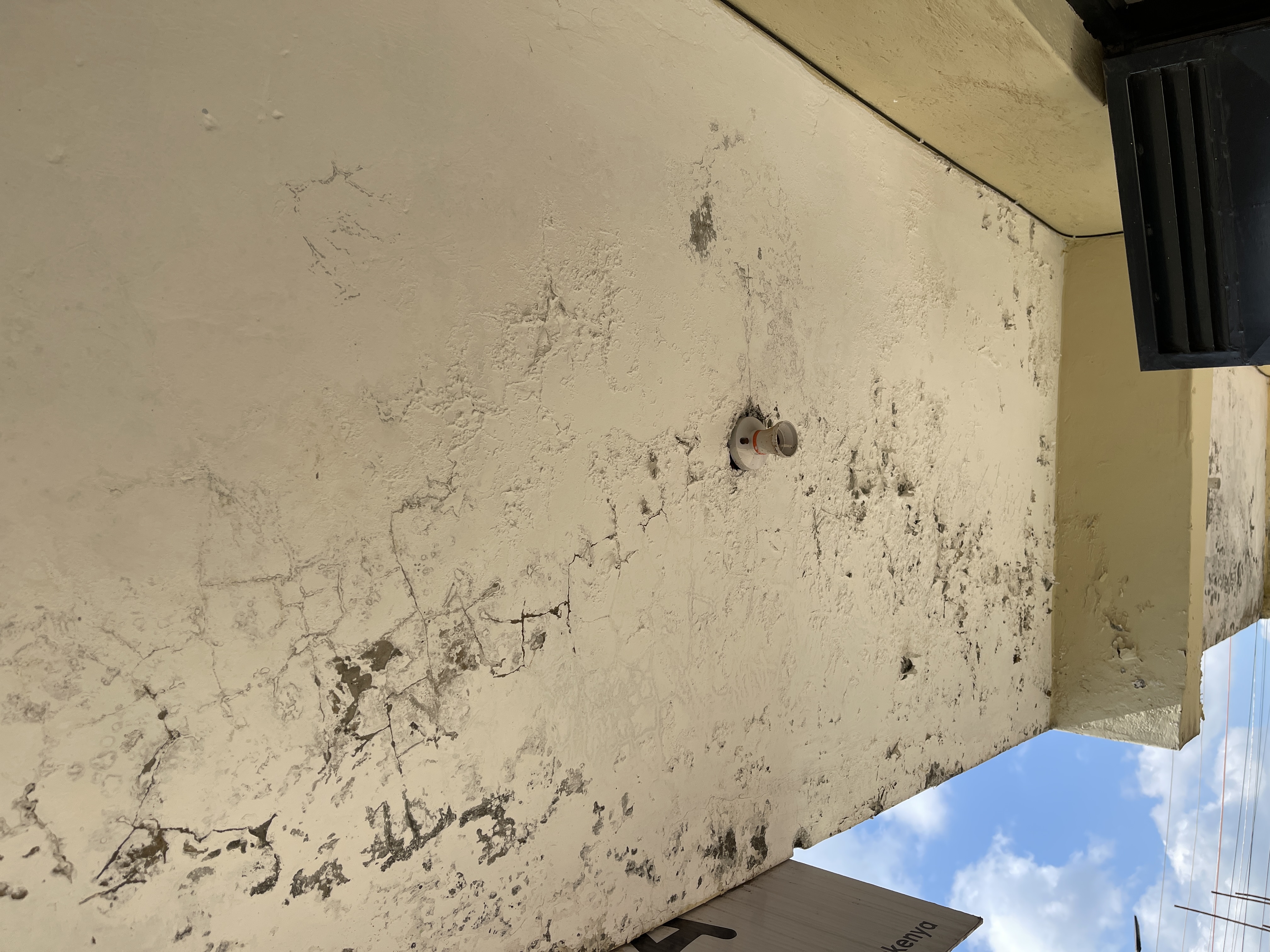 Building Repair and Maintenance